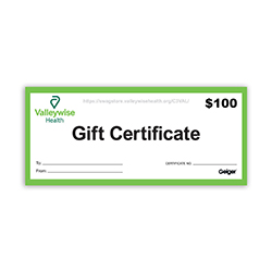 GIFT CERTIFICATE EMAILED $100.00